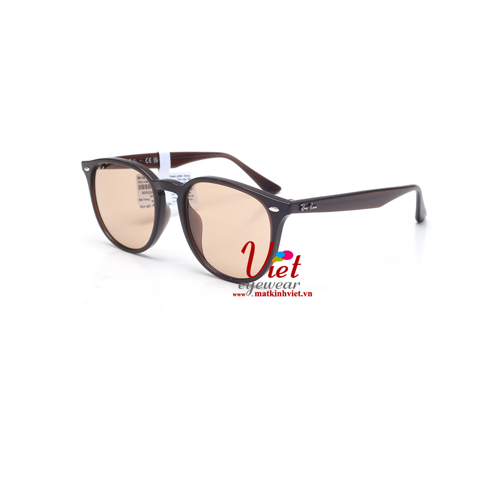 Kính mát RayBan RB4259F 6231/93
